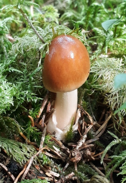 20190901_102620.jpg