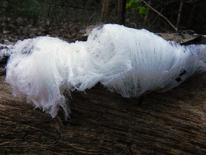 DSCN7830b.JPG