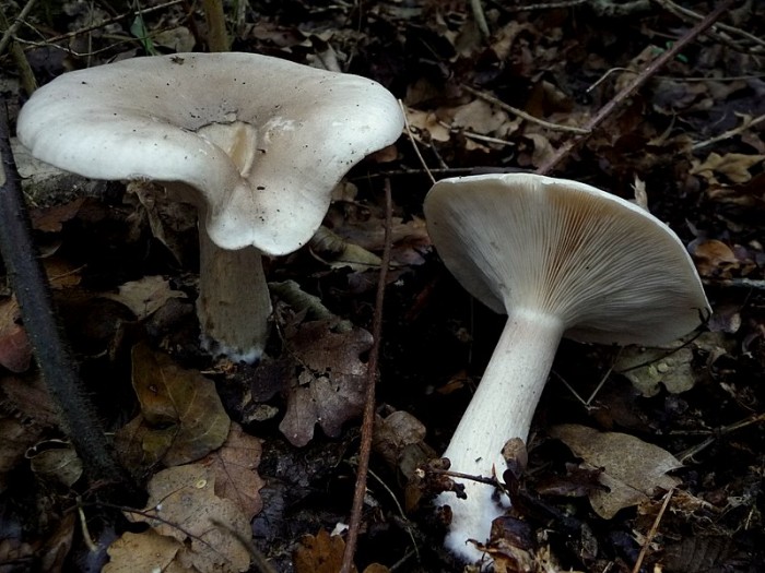 P1010312.JPG