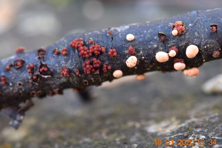DSC_1102_01.JPG