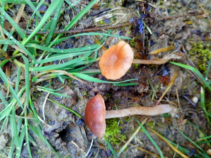 DSC_0380.JPG