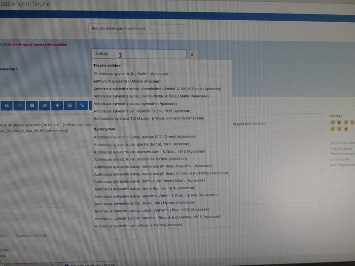 P1070532_R.JPG