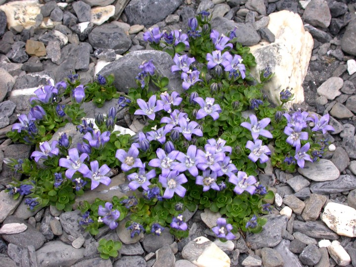 DSCN7139.JPG