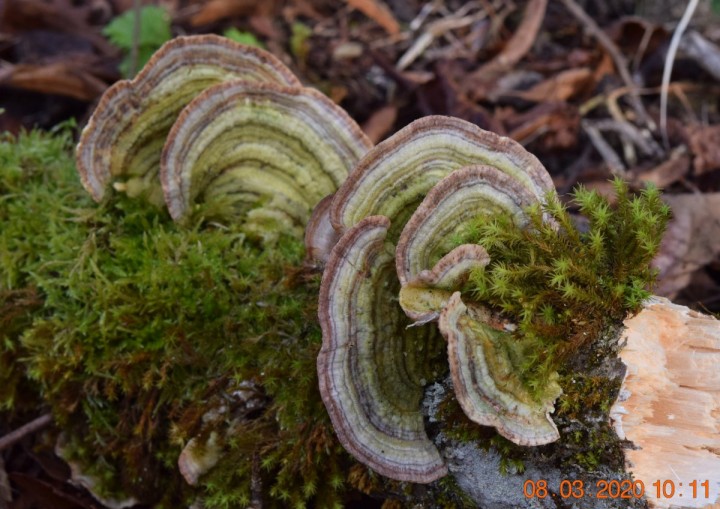 DSC_1144_01.JPG