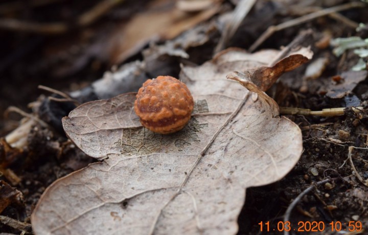 DSC_1150_01.JPG