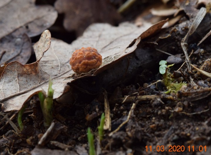 DSC_1151_01.JPG