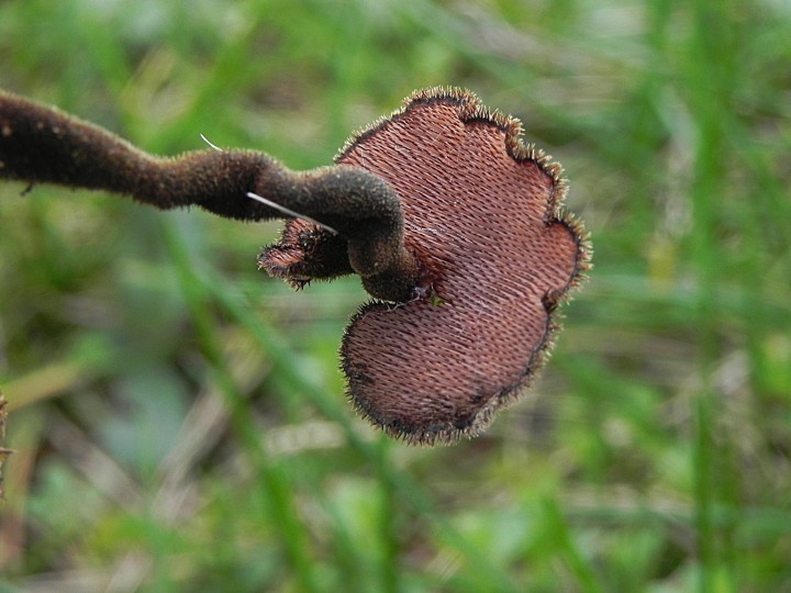 DSCN7941.JPG
