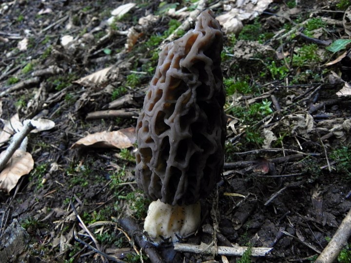 DSCN7969.JPG