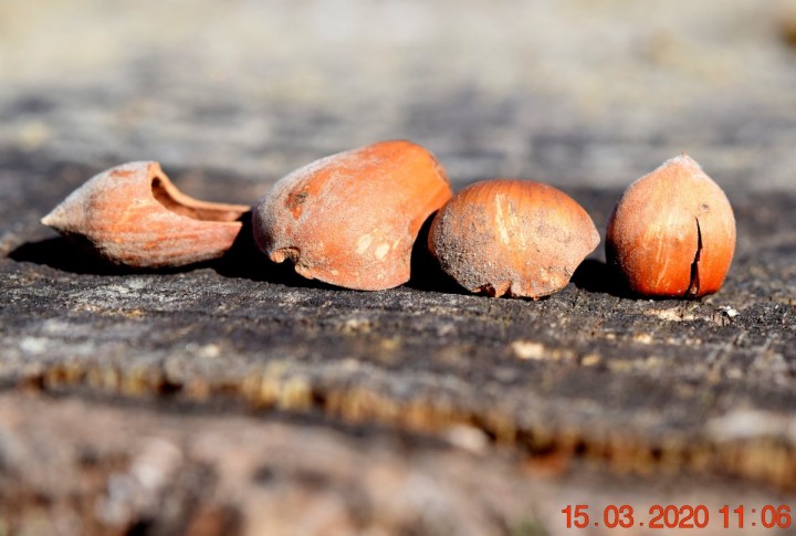 DSC_1165_01.JPG