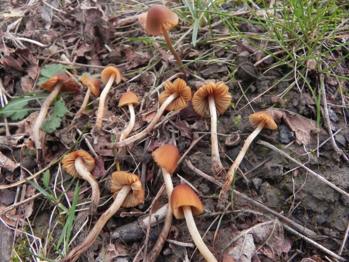 DSCN7951.JPG