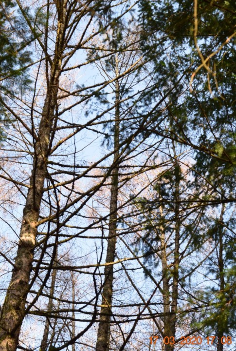 DSC_1154_01.JPG