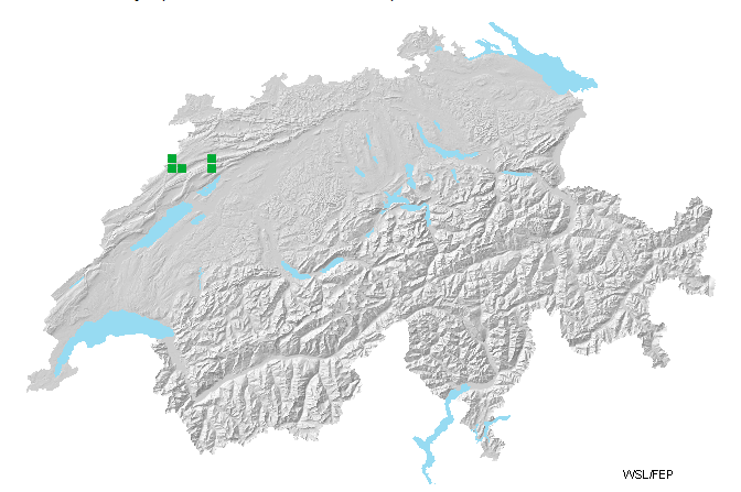carte.png