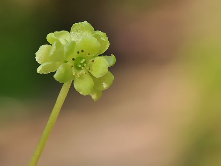 EC715756-3E85-4DD4-9726-18A081D45FBC.png