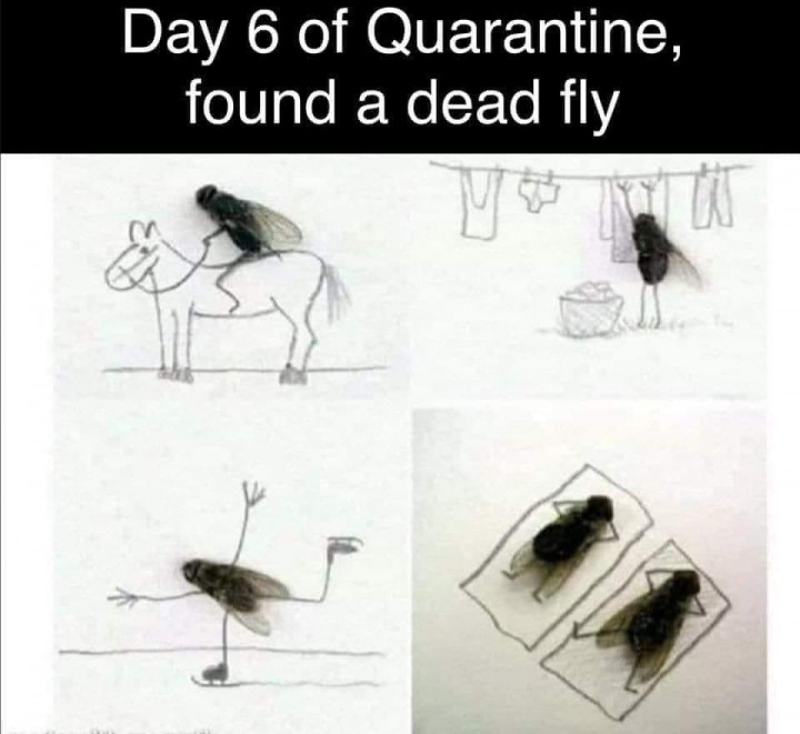 E0949BA6-E271-4A34-BE9A-4AF64087BD54.jpeg