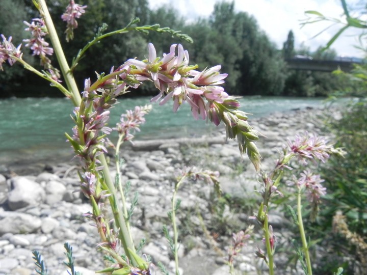 DSCN9670.JPG