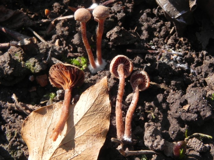 DSCN7987.JPG