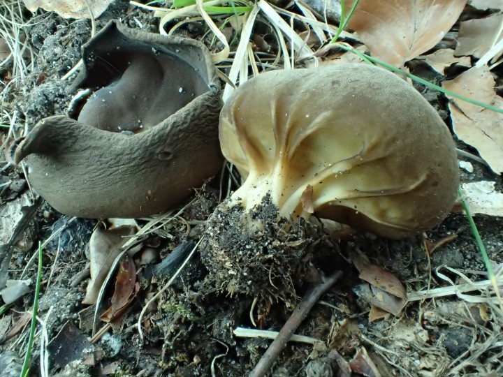 P3233085.JPG