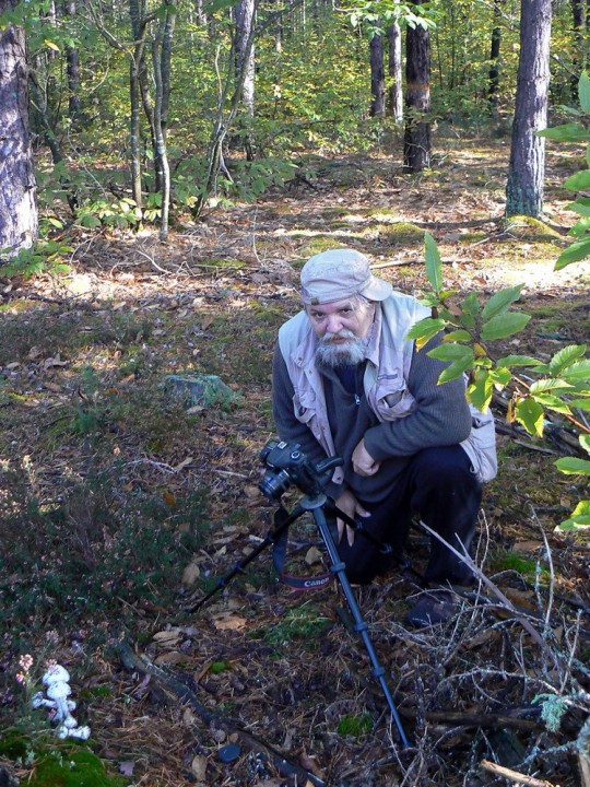 Sa première rencontre avec Amanita virosa var. levipes