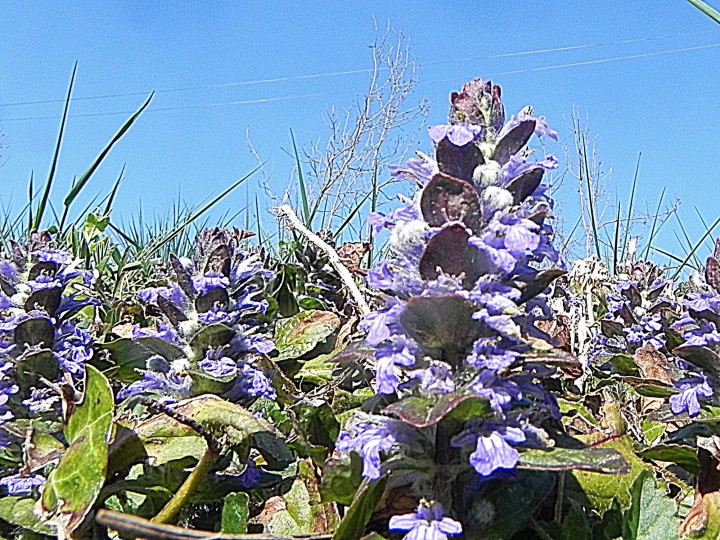 DSCN8026.JPG