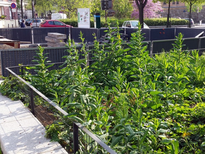 Cliquer sur l'image pour agrandir