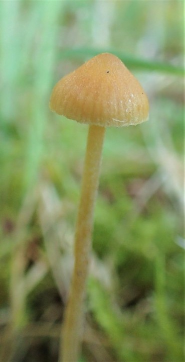 P3180370_modif.jpg
