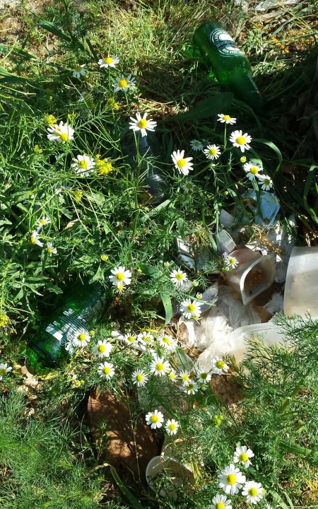 Cliquer sur l'image pour agrandir