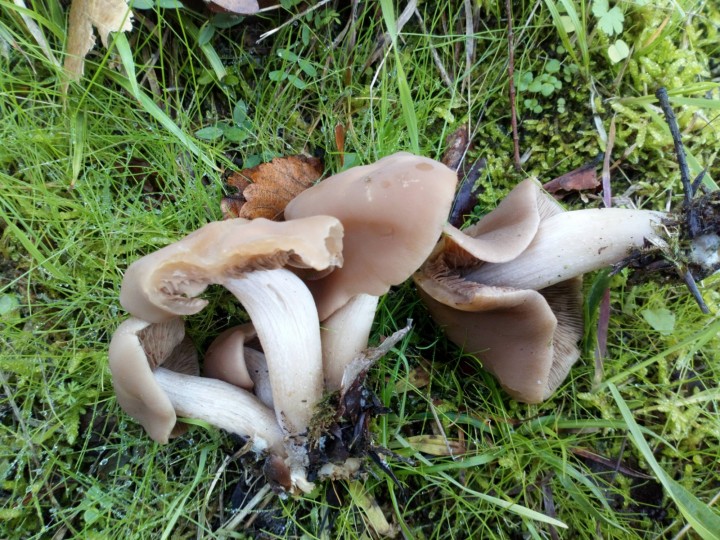 DSC_0744.JPG