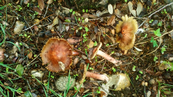 DSC_0357.JPG