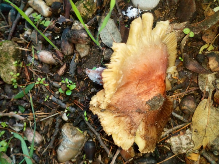 DSC_0358.JPG