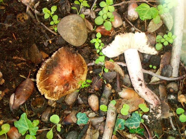 DSC_0360.JPG