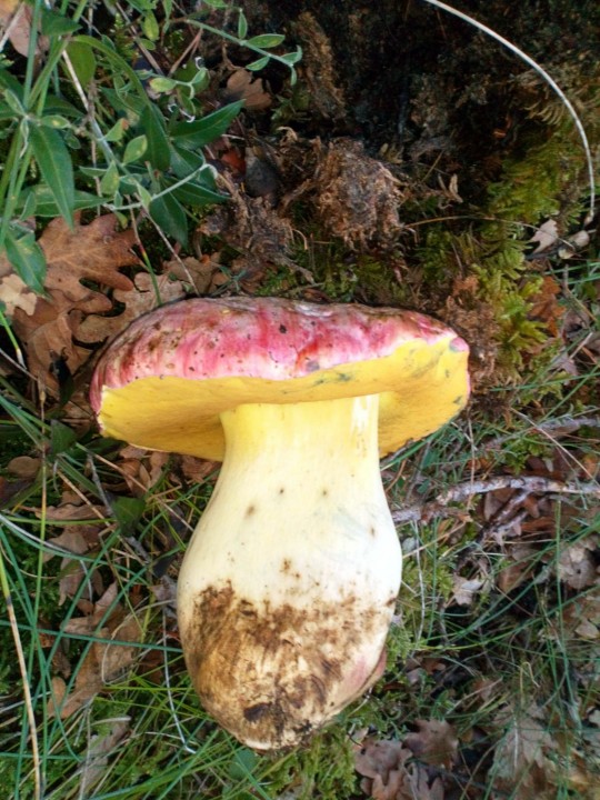 DSC_0216.JPG