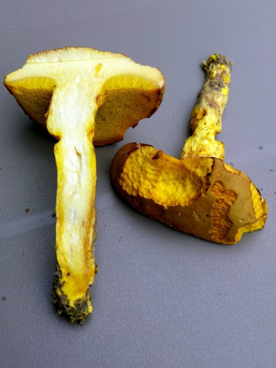 20180830_162346.jpg