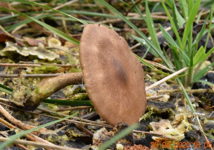 DSC_1210_01.JPG
