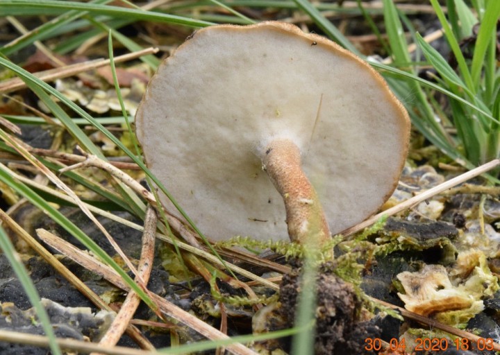 DSC_1209_01.JPG