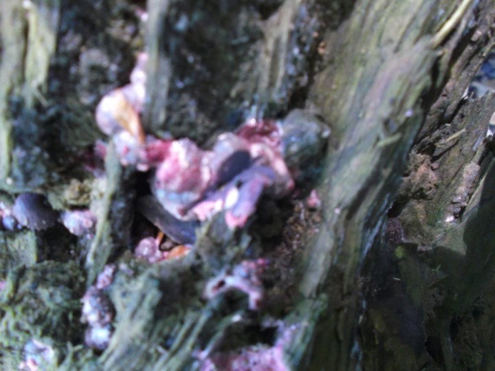 DSCF2028.JPG