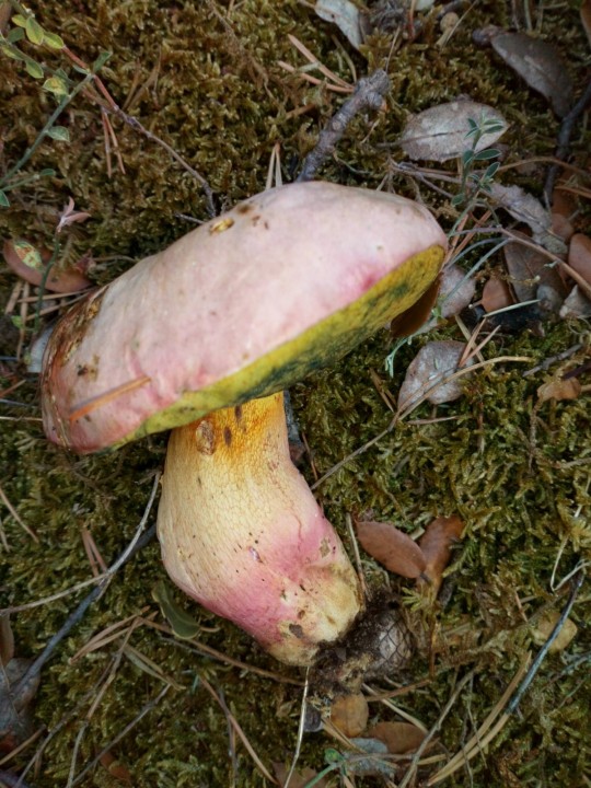 DSC_0243.JPG