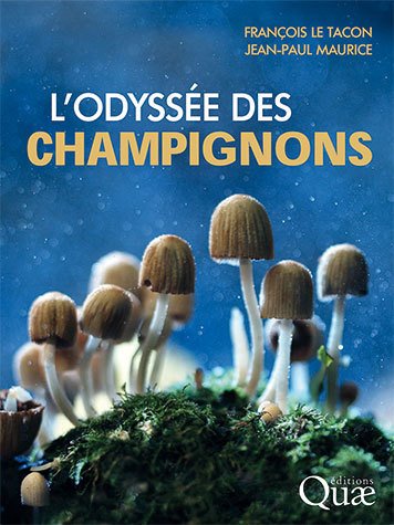 02712BDW_champignons.jpg