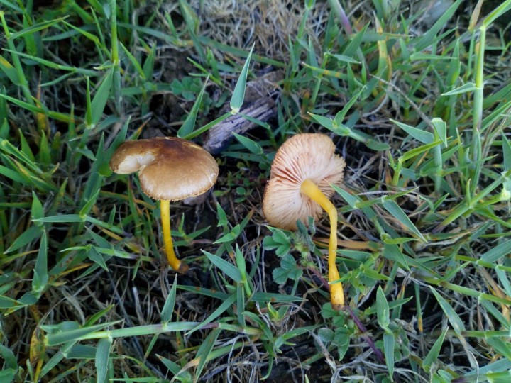 DSC_0452.JPG