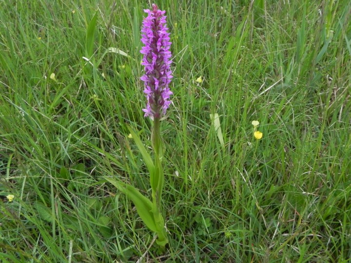 DSCN8276.JPG