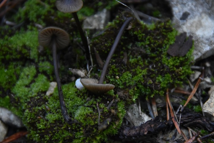 DSC_0405.JPG
