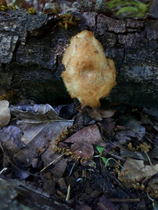 DSC_0637.JPG