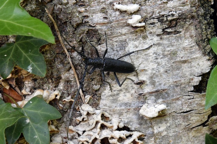 DSC_1266.jpg