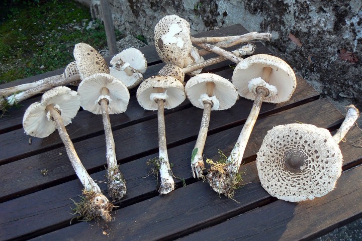 P1100807.JPG