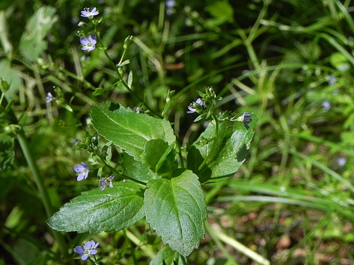 DSCN8354b.JPG