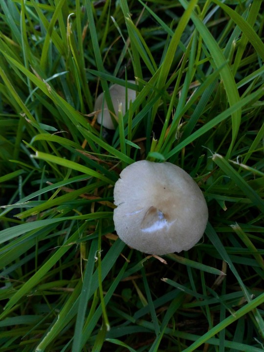 DSC_0343.JPG