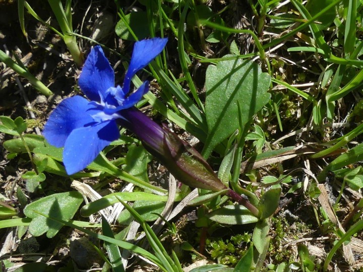LaRuchere_2020-05-25_093_DR.JPG