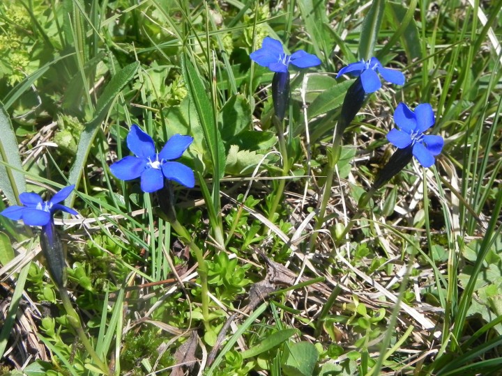 DSCN9197.JPG
