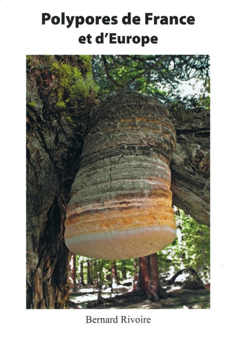 Polypores_Rivoire.jpg