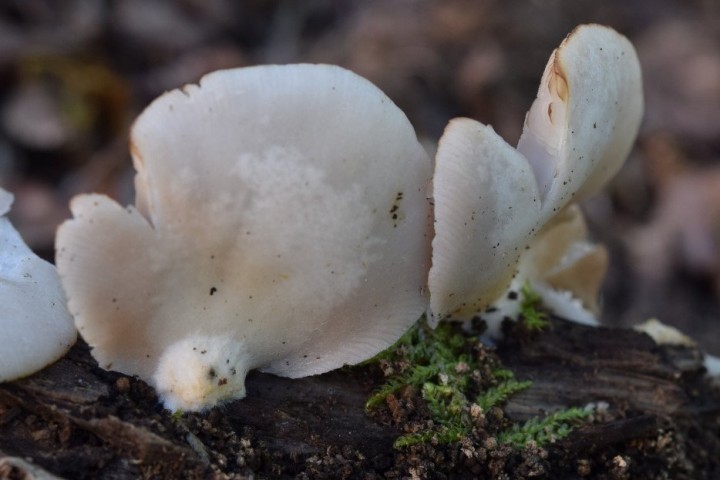 DSC_1234_01.JPG