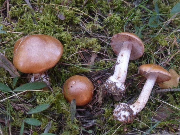 P1310224.JPG